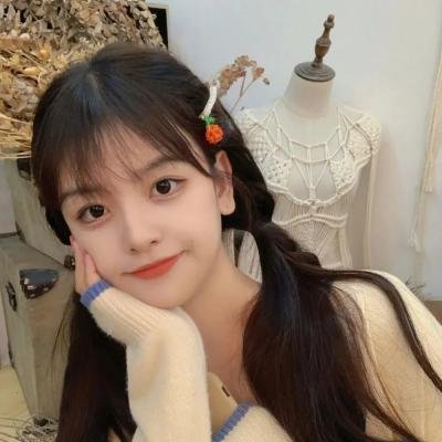 逆女泰瑞丝